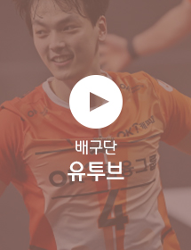 배구단 유튜브