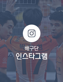 배구단 인스타