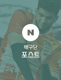 배구단 포스트