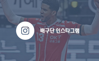 배구단 인스타