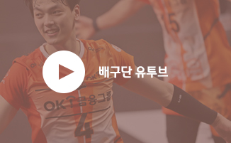 배구단 유투브