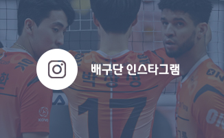 배구단 인스타